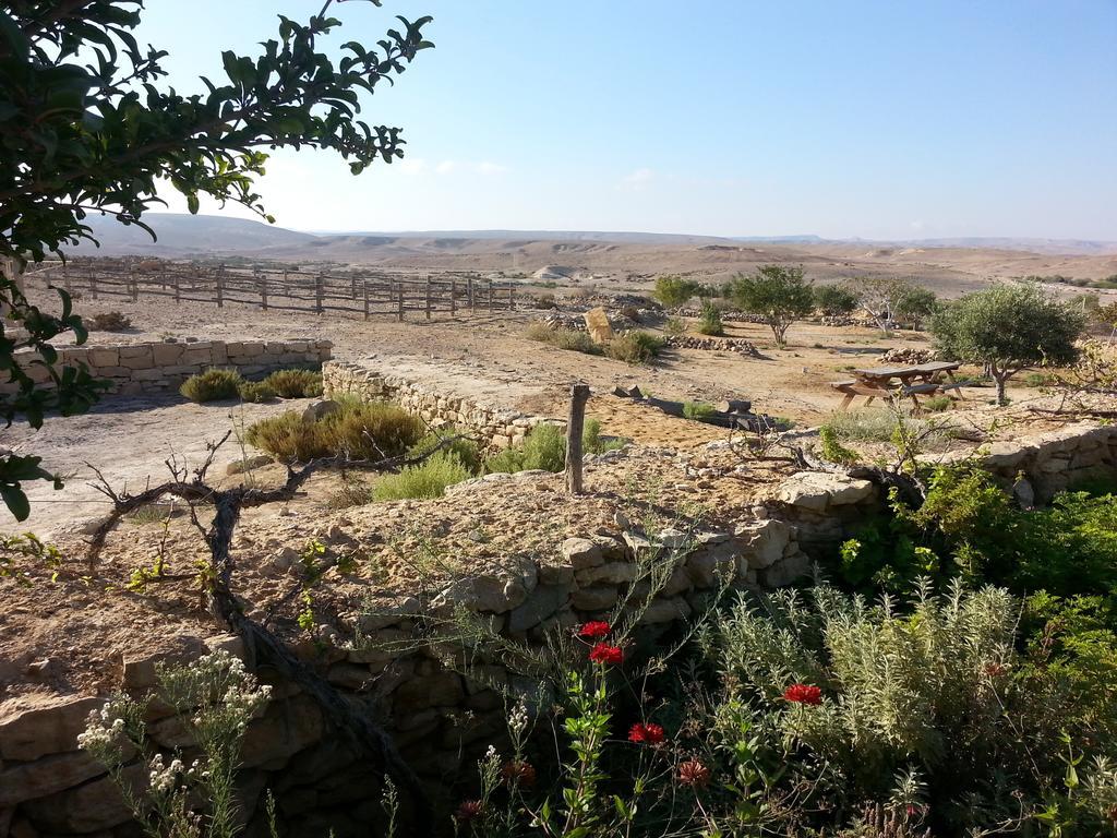 מלון Shivta Farm מראה חיצוני תמונה